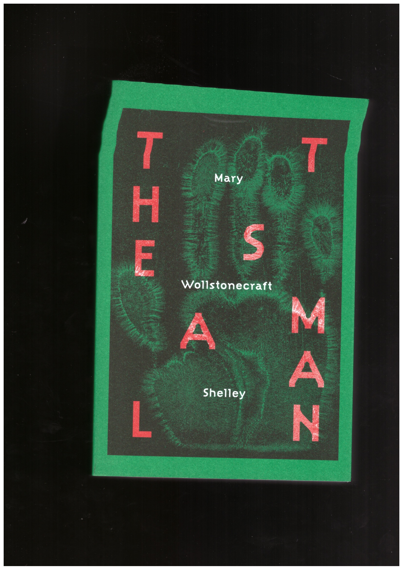 WOLLSTONECRAFT SHELLEY, Mary; ONLI, Meg (ed.) - The Last Man